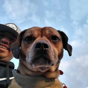 Meet your Posher, Vicente